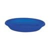 EDEN Blue Transparent Cylinder Saucer - Transparent Blue
