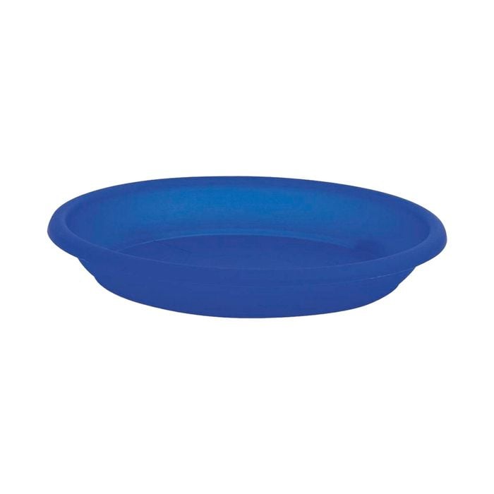 EDEN Blue Transparent Cylinder Saucer - Transparent Blue