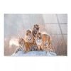 Siberian Tiger & Winter  Print 100% Australian Made 150 x 100cm  (Acrylic)