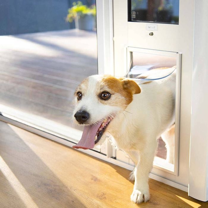 Bunnings Petsafe Dog Door Installation Sliding Door Insert Petway
