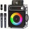 Portable Speaker With 2 Wireless Microphones