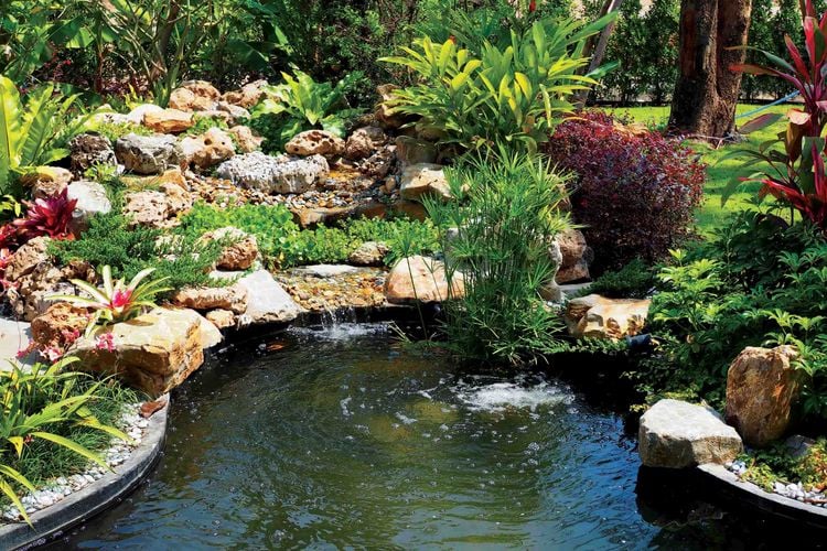 Pond in garden with water fountain and creek