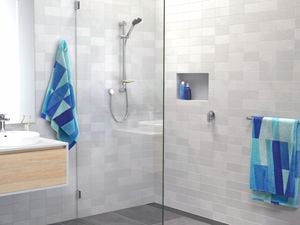 A grey bathroom with a white basin, shower and a plant in it