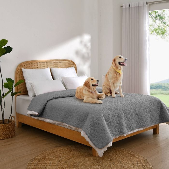 Charlie's Sofur Waterproof Dog Bed Cover Protector King/super King 208x305cm Grey