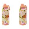 2x Annabel Trends Watermate 950ml Stainless Steel Water Bottle Tutti Fruitti