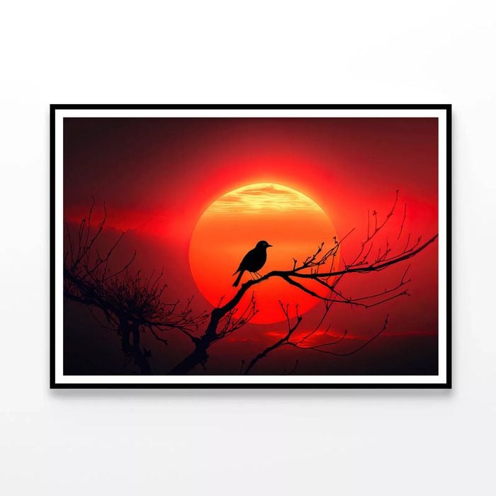Bird, Sun & Sunset   Print 100% Australian Made 90x60cm  (Poster)