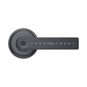 Schlage Ascent Graphite Smart Lever (Internal Use Only)