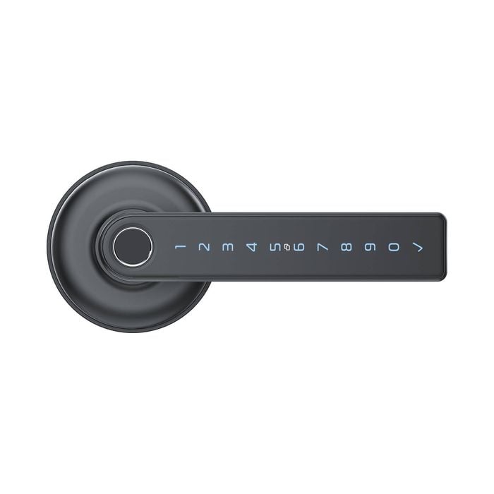 Schlage Ascent Graphite Smart Lever (Internal Use Only)