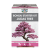 Mr Fothergill's Judas Tree Bonsai Kit