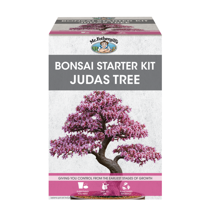 Mr Fothergill's Judas Tree Bonsai Kit