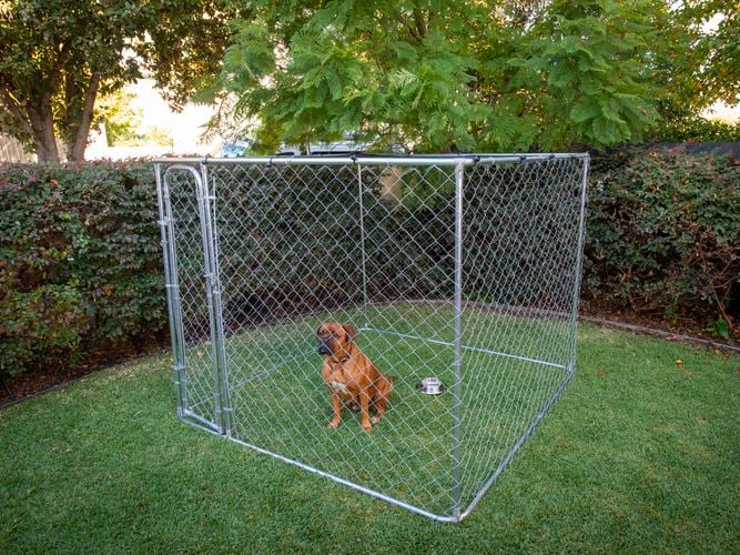 Large dog enclosure with roof