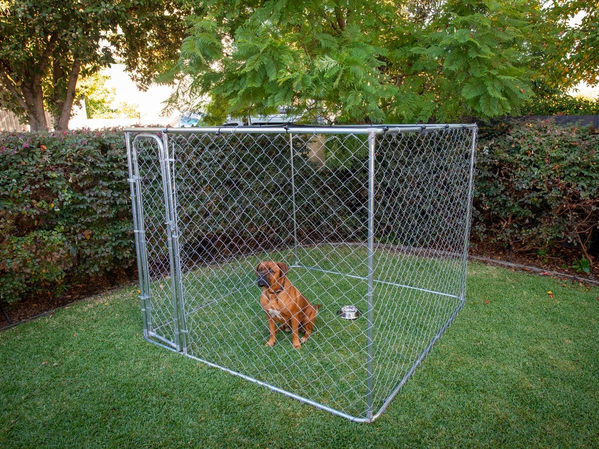 Pet Enclosures Gates Bunnings Australia