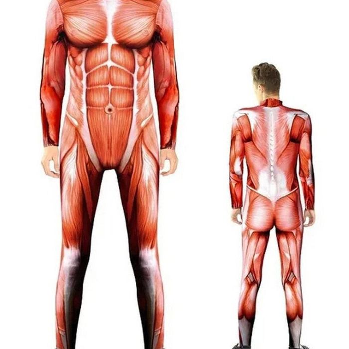 Human Anatomy Muscle Print Mens Halloween Costume - Large