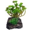 Reptile One Echeveria Garden With Pumice Base 40cm (46773)
