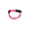 Happy Tails Small Paw Print Dog Collar