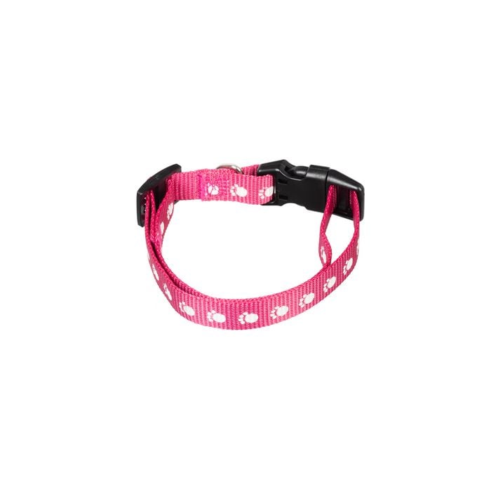 Happy Tails Small Paw Print Dog Collar