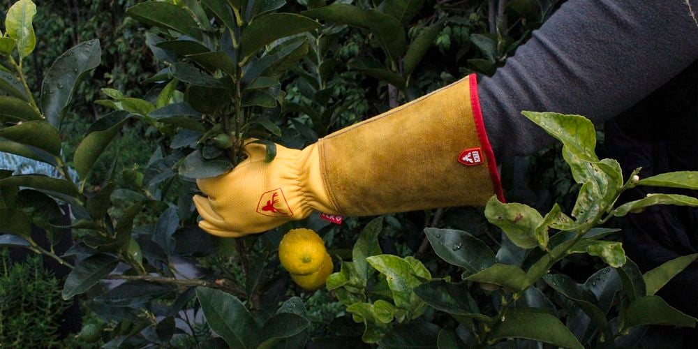 ELK Comfort Pruner gloves