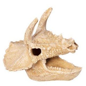 Aqua One Bisticeratops Skull Ornament 12x14x12cm (37487)