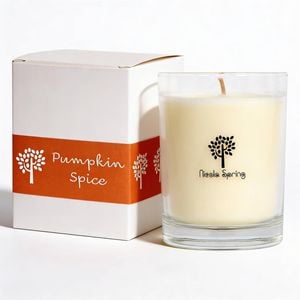 Nicola Spring 160g Soy Wax Scented Candle - Pumpkin Spice - 28 Hour Burn Time Relaxation Aromatherapy Gift Ready Jar Candle