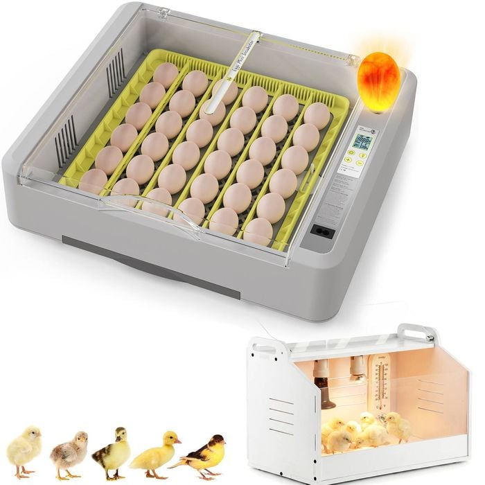 Advwin Automatic 36 Egg Incubator + Chicken Brooder Box
