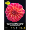 Yarra Valley Bulbs Winkie Rhubarb - 1 Pack