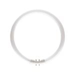 Philips 1800lm Cool White 22W TL5 Circular Fluro 
