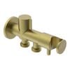 evekare Brushed Brass Dual Hand Spray Holder And Shut Off Valve