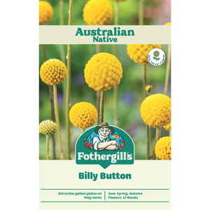 Fothergill's Australian Native Wildflower Billy Button Seeds
