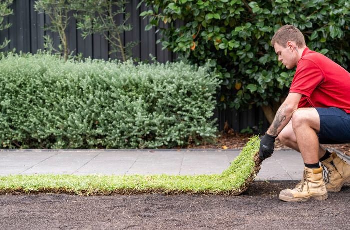 A Bunnings Team Member is laying down the first roll or slab of turf on prepared soil in a garden.