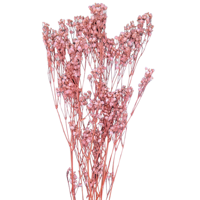 Blooms of Joy 60cm Pale Pink Babies Breath 4 Piece