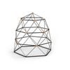 SummitPro Climbing Dome