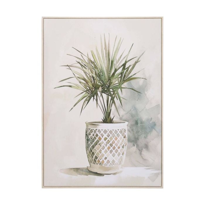 Lvd Hand-finished Wood Framed Canvas Potted Plant 2 Print Home Decor 70x100cm