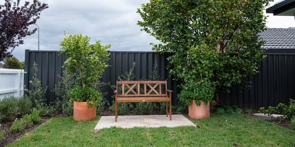 A garden with a wooden bench.