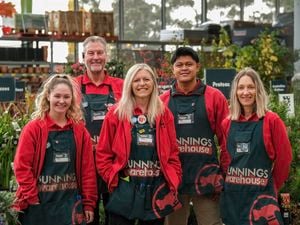 Multiple Bunnings Team Members in an outdoor nursery.