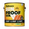 Taubmans 4L Accent Gloss Sunproof Exterior Paint