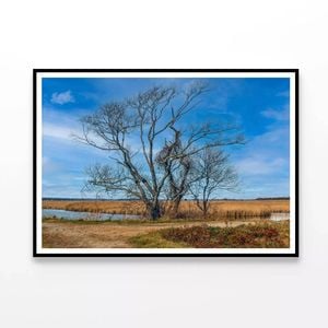 Couple of Trees Grows In Field  Print 100% Australian Made 120x90cm  (Poster)