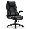 Eureka OC11 Ergonomic Office Chair - BLACK
