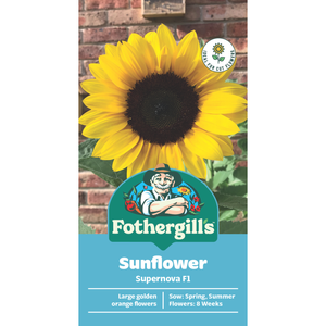 Fothergill's Sunflower Supernova F1 Flower Seed