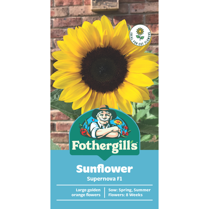 Fothergill's Sunflower Supernova F1 Flower Seed