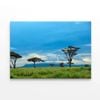 National Park with Mountains  Print 100% Australian Made 90 x 60cm  (Stretched)