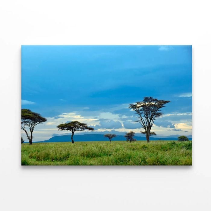 National Park with Mountains  Print 100% Australian Made 90 x 60cm  (Stretched)