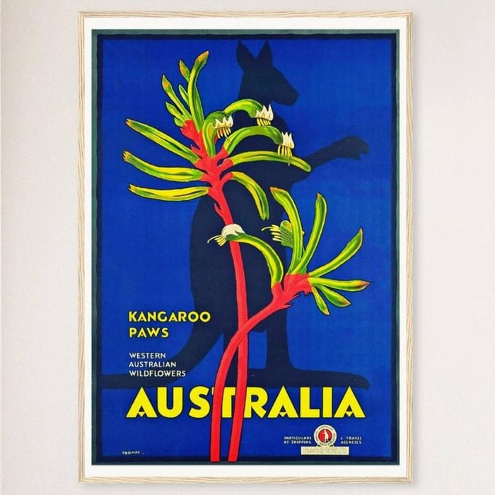 Galrie Vintage Western Australian Kangaroo Paws Travel Poster for Home Decor, Wood Frame, A2 42 x 60cm (16 x 24inch)