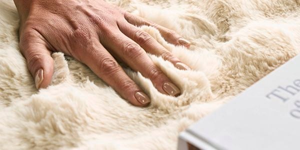 The Rug Connection - Bunnings-Strip-Banner-2.jpg