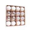 Catzon 16 Pcs Christmas Ball Ornaments Shatterproof Plastic Hanging Baubles for Holiday-Set 2