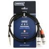 Y Cable 3m Rean 3.5mm Trs Plug - 2 X Xlr F