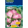 Freesia Rose Marie - 10 Bulbs