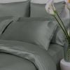 Bedding Co. Pillow Case 100% Mulberry Silk 22 Momme Sage Green Queen