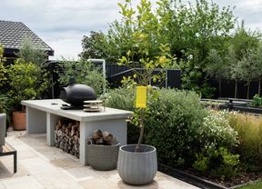 A backyard garden features a lemon tree with a yellow fruit fly trap, surrounded by greenery and a wood-fired oven on a concrete table. 