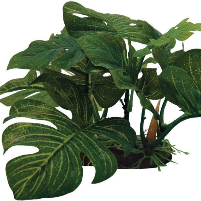 Aqua One Planter Plant Large Green Leaf On Rock - Med (28131M)