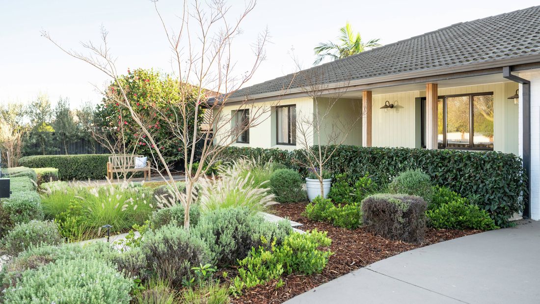 Well-maintained front garden with trimmed hedges, ornamental grasses and shrubs surrounding a modern home.